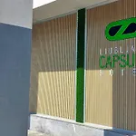 Kapszulahotel Capsule 2*